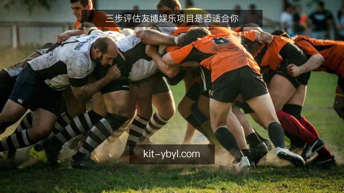 三步评估友博娱乐项目是否适合你