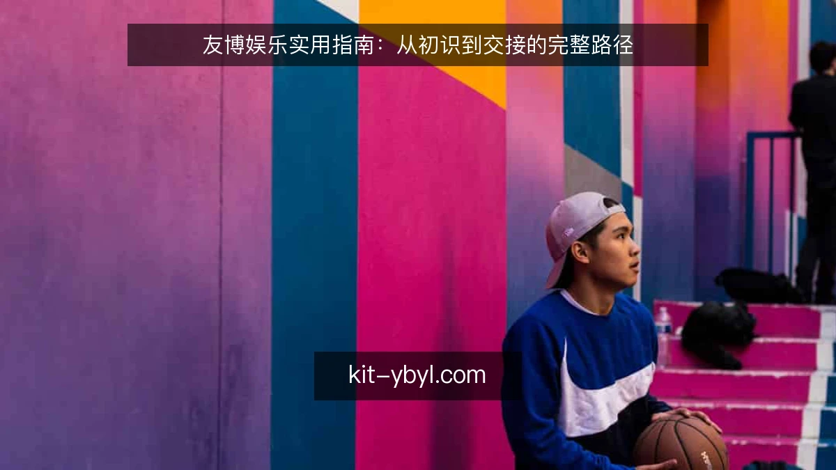 友博娱乐实用指南：从初识到交接的完整路径