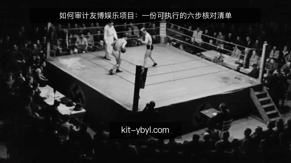 如何审计友博娱乐项目:一份可执行的六步核对清单