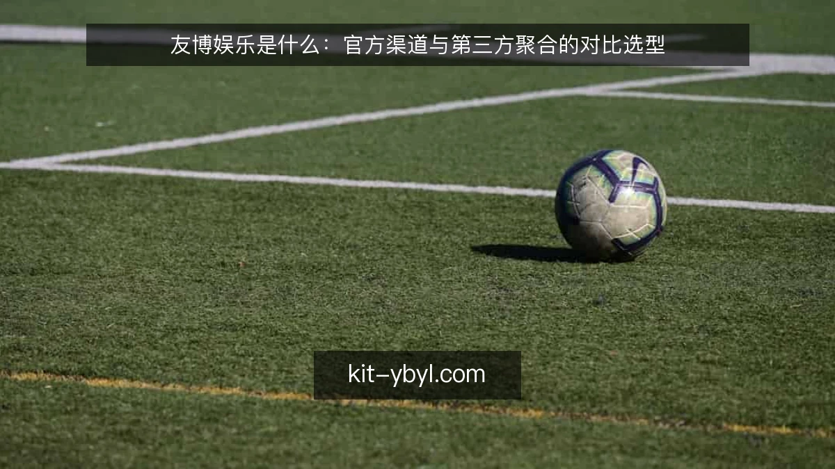 友博娱乐是什么：官方渠道与第三方聚合的对比选型