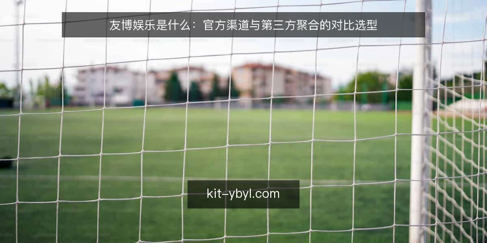友博娱乐是什么：官方渠道与第三方聚合的对比选型 — 先定选型标准 配图